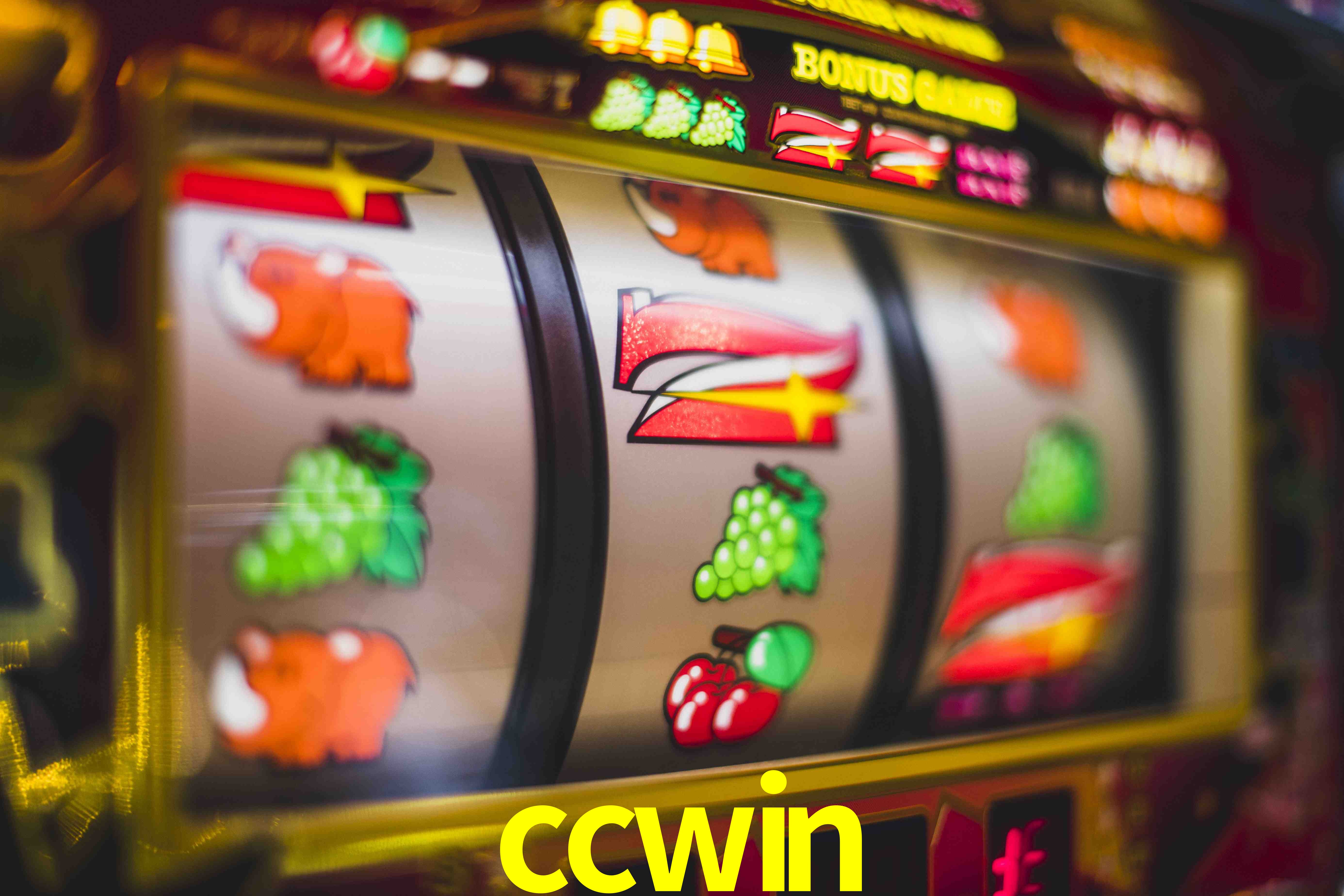 Statistics ccwin