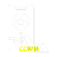 CCWIN