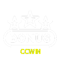 CCWIN