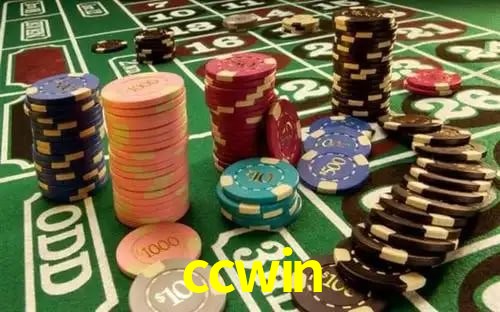 ccwin.com