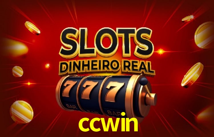 ccwin Salvador - Support